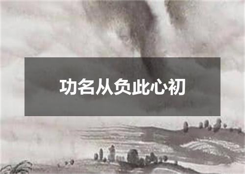 功名从负此心初