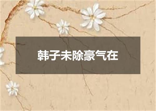 韩子未除豪气在