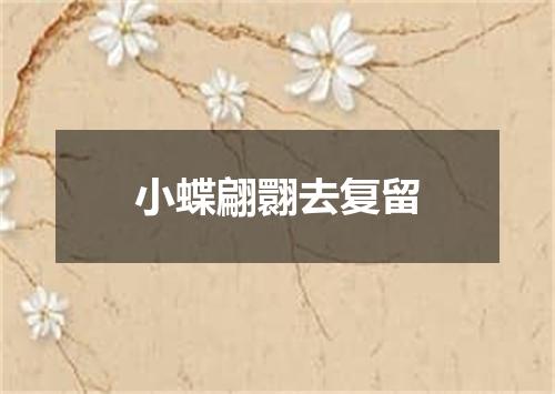 小蝶翩翾去复留