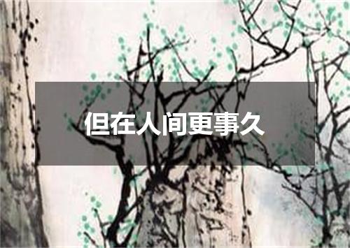 但在人间更事久