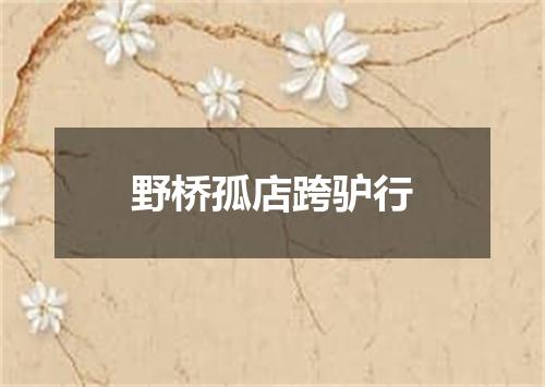 野桥孤店跨驴行