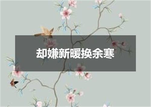 却嫌新暖换余寒