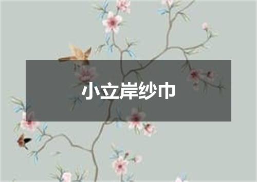 小立岸纱巾