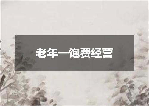 老年一饱费经营