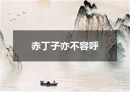 赤丁子亦不容呼