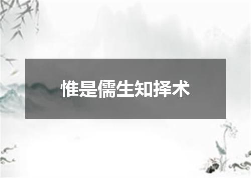 惟是儒生知择术
