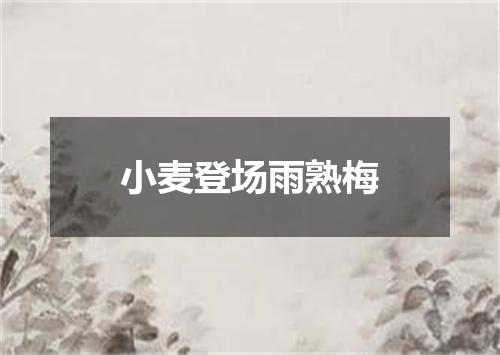 小麦登场雨熟梅