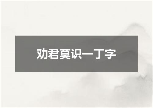 劝君莫识一丁字
