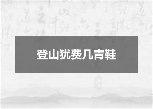 登山犹费几青鞋