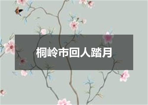 桐岭市回人踏月