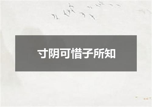 寸阴可惜子所知