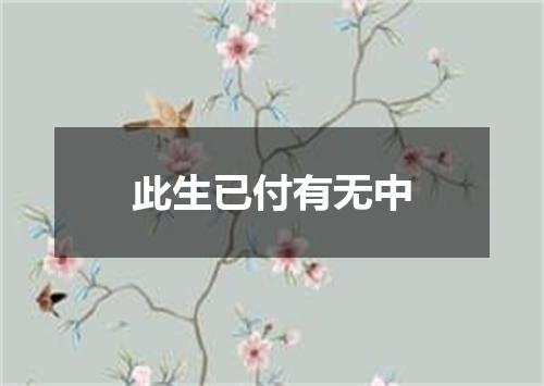 此生已付有无中