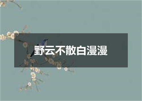 野云不散白漫漫
