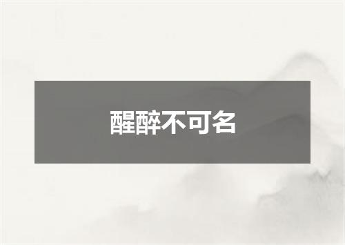 醒醉不可名