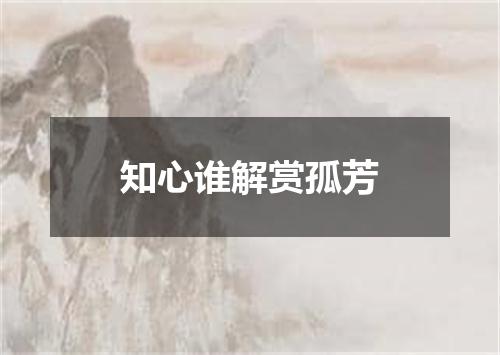 知心谁解赏孤芳