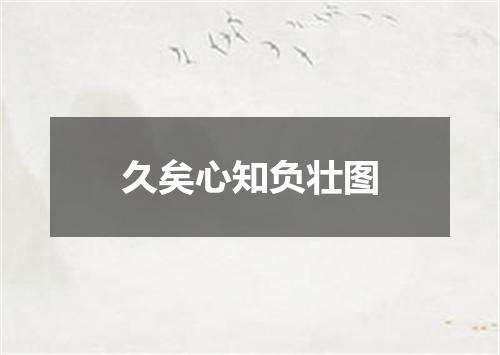 久矣心知负壮图