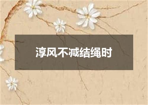 淳风不减结绳时