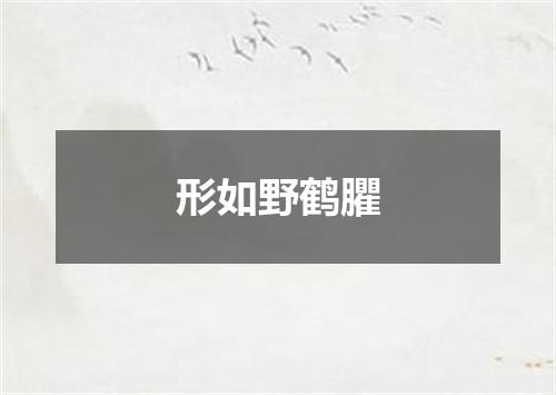 形如野鹤臞
