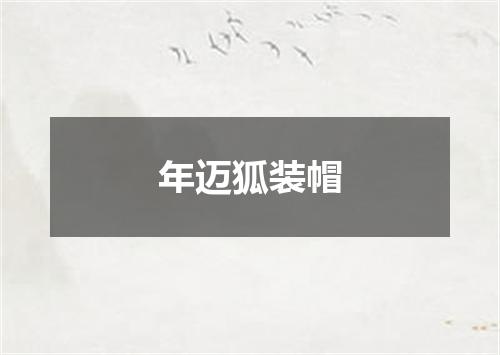 年迈狐装帽