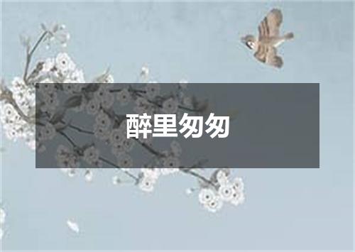 醉里匆匆