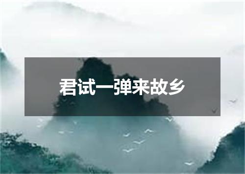 君试一弹来故乡