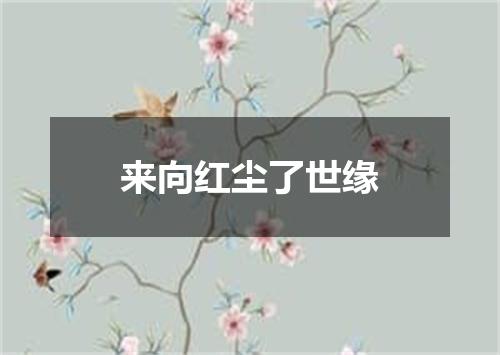 来向红尘了世缘
