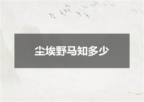 尘埃野马知多少
