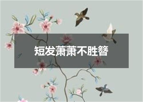 短发萧萧不胜簪