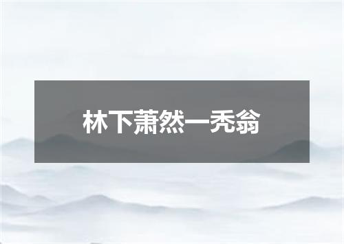 林下萧然一秃翁