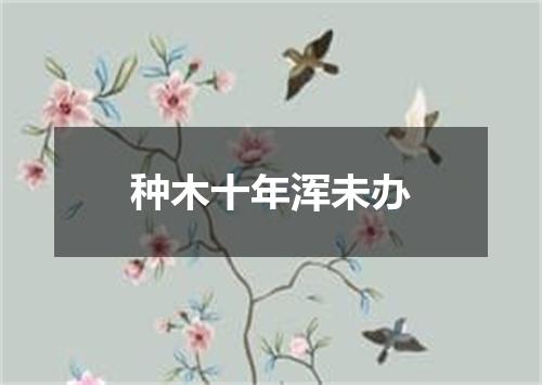 种木十年浑未办