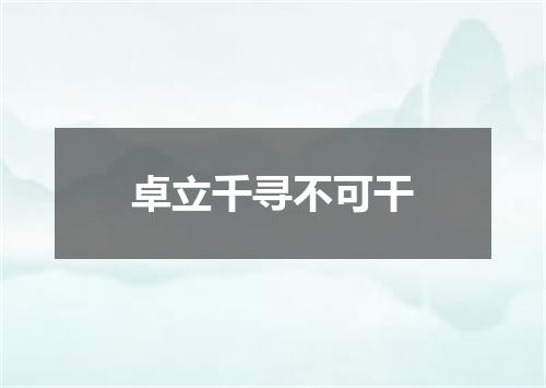 卓立千寻不可干