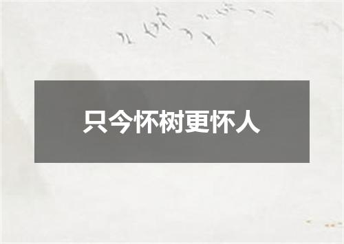 只今怀树更怀人