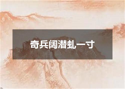 奇兵阔潜虬一寸