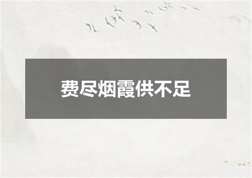 费尽烟霞供不足
