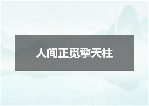 人间正觅擎天柱