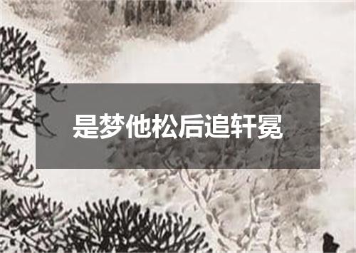 是梦他松后追轩冕