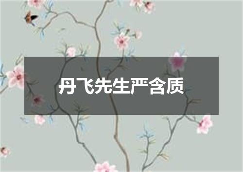丹飞先生严含质