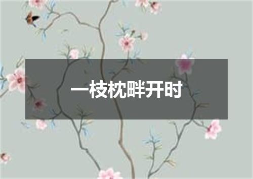 一枝枕畔开时