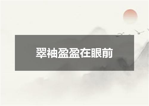 翠袖盈盈在眼前