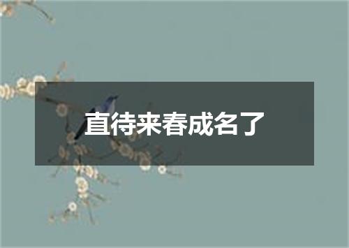 直待来春成名了