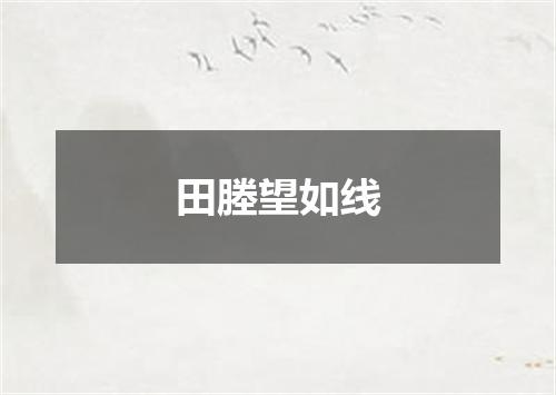 田塍望如线
