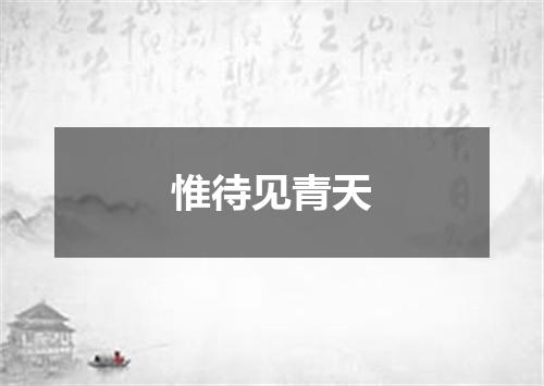 惟待见青天