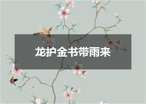 龙护金书带雨来