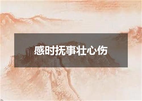 感时抚事壮心伤