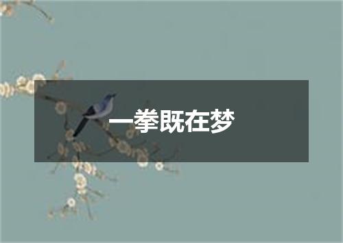 一拳既在梦