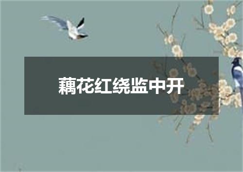 藕花红绕监中开