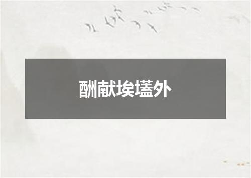 酬献埃壒外