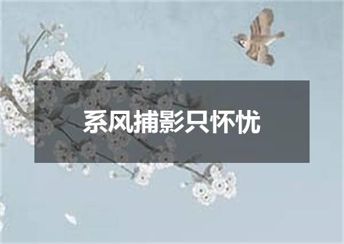 系风捕影只怀忧