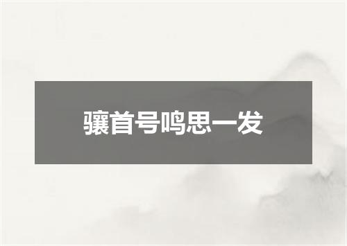 骧首号鸣思一发