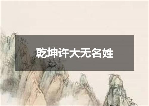 乾坤许大无名姓
